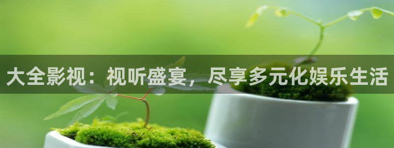 大全影視：視聽盛宴，盡享多元化娛樂生活